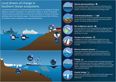 Local Drivers of Change in Southern Ocean Ecosystems: Human Activities and Policy Implications